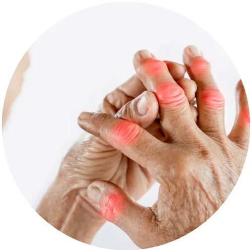 Virk Hospital Karnal - Knee Icon 11 1
