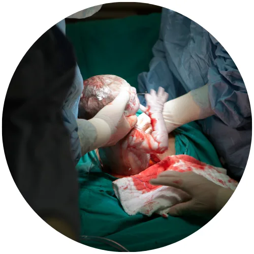 Virk Hospital Karnal - Knee Icon 18 1