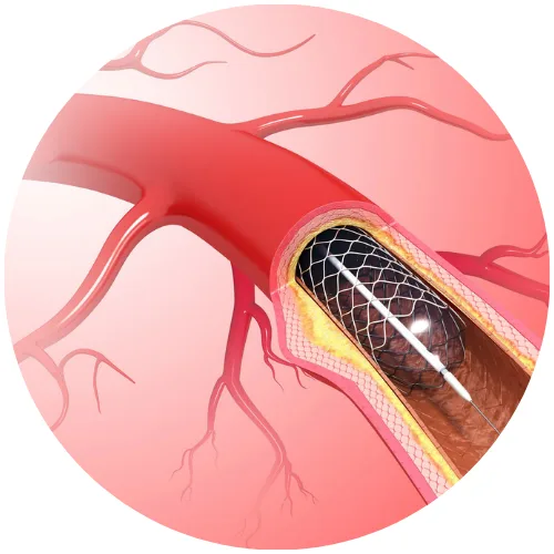 Virk Hospital Karnal - Knee Icon 7 1