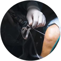 Virk Hospital Karnal - Virk Hospital 6